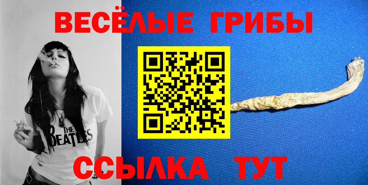 Шахты  Псилоцибиновые грибы Cubensis  наркота  Псилоцибиновые грибы мухоморы  Вход с VPN 